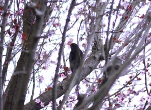 whatsapp image 2026-03-10 at 17.05.30f.jpeg