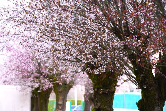 whatsapp image 2026-03-10 at 17.05.30f.jpeg