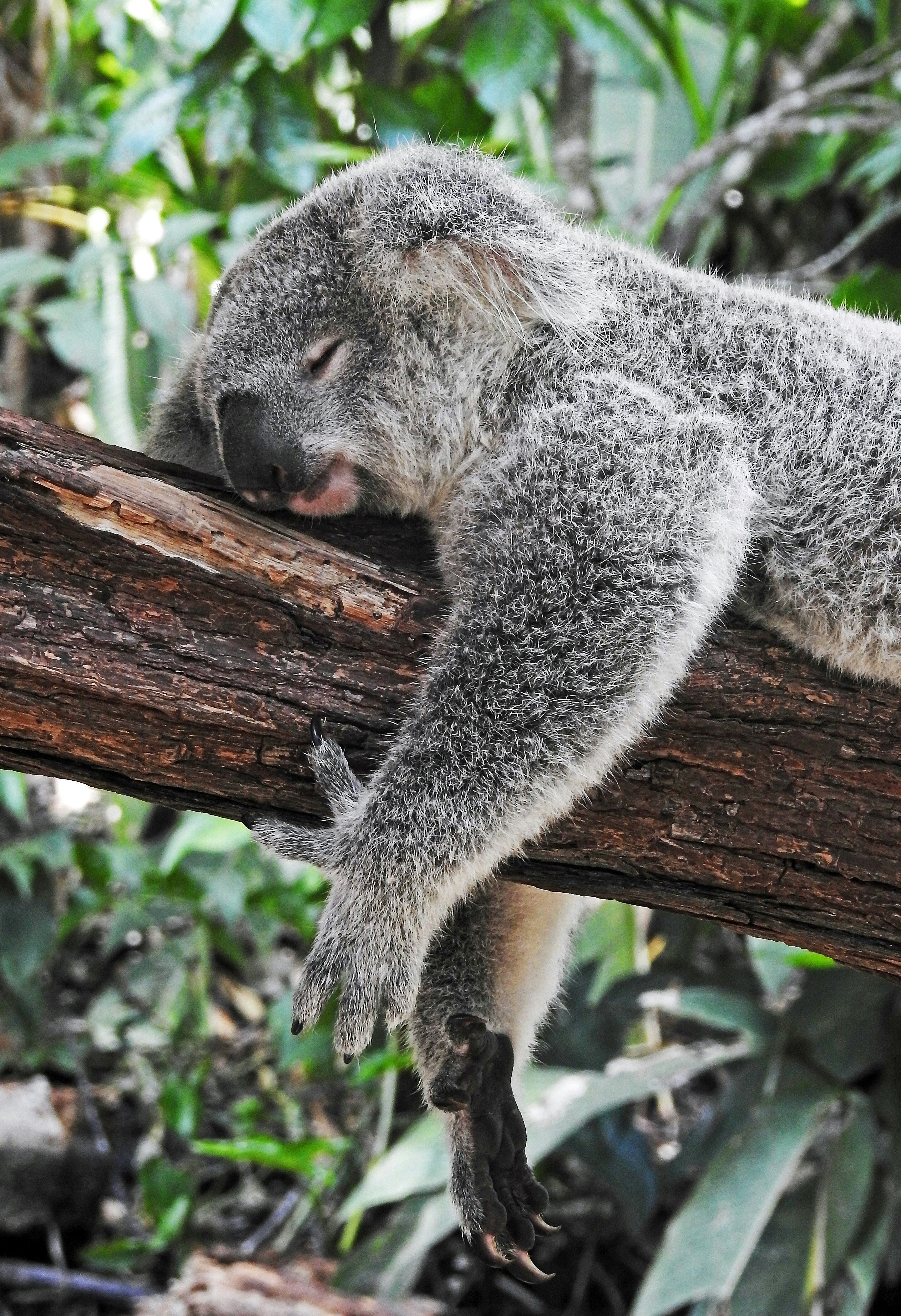 Il Grande Sonno: Perché i Mercati Finanziari Sembrano in Letargo ad Agosto