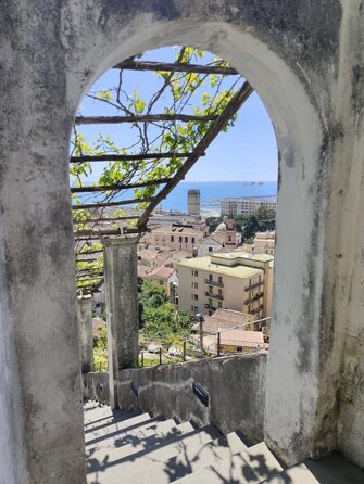 img_20240212_095106_794.jpeg img_20240212_095106_794.jpeg