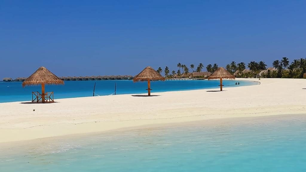 277722848.jpeg 277722848.jpeg