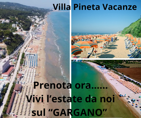 azzurro spiaggia collage semplice post di facebook (3)