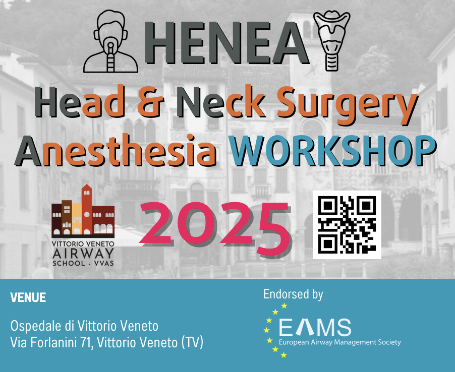 Great VIP at the HENEA Workshop 19-20 October