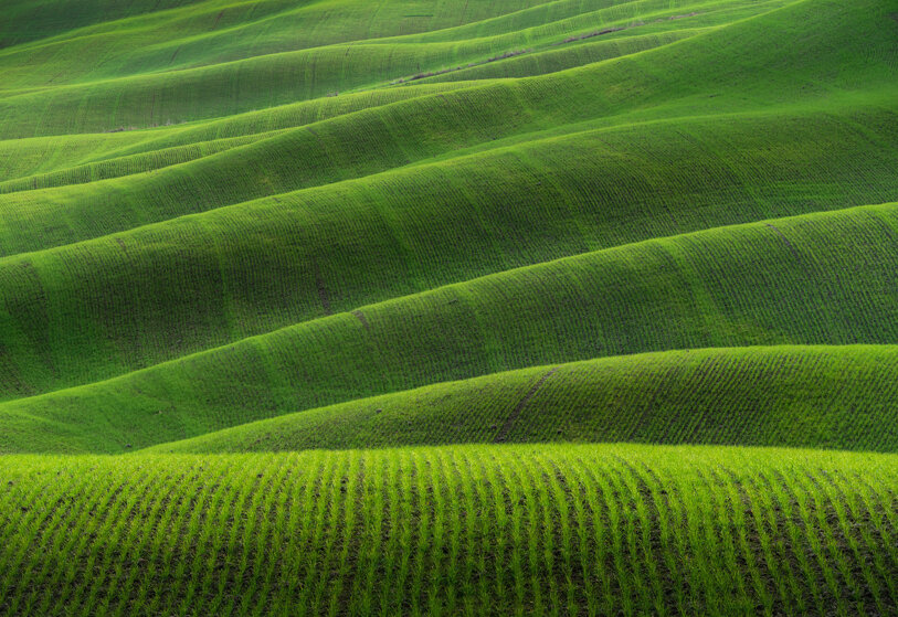 val-d'orcia-copia.jpeg