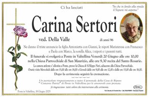 carina setori.jpeg