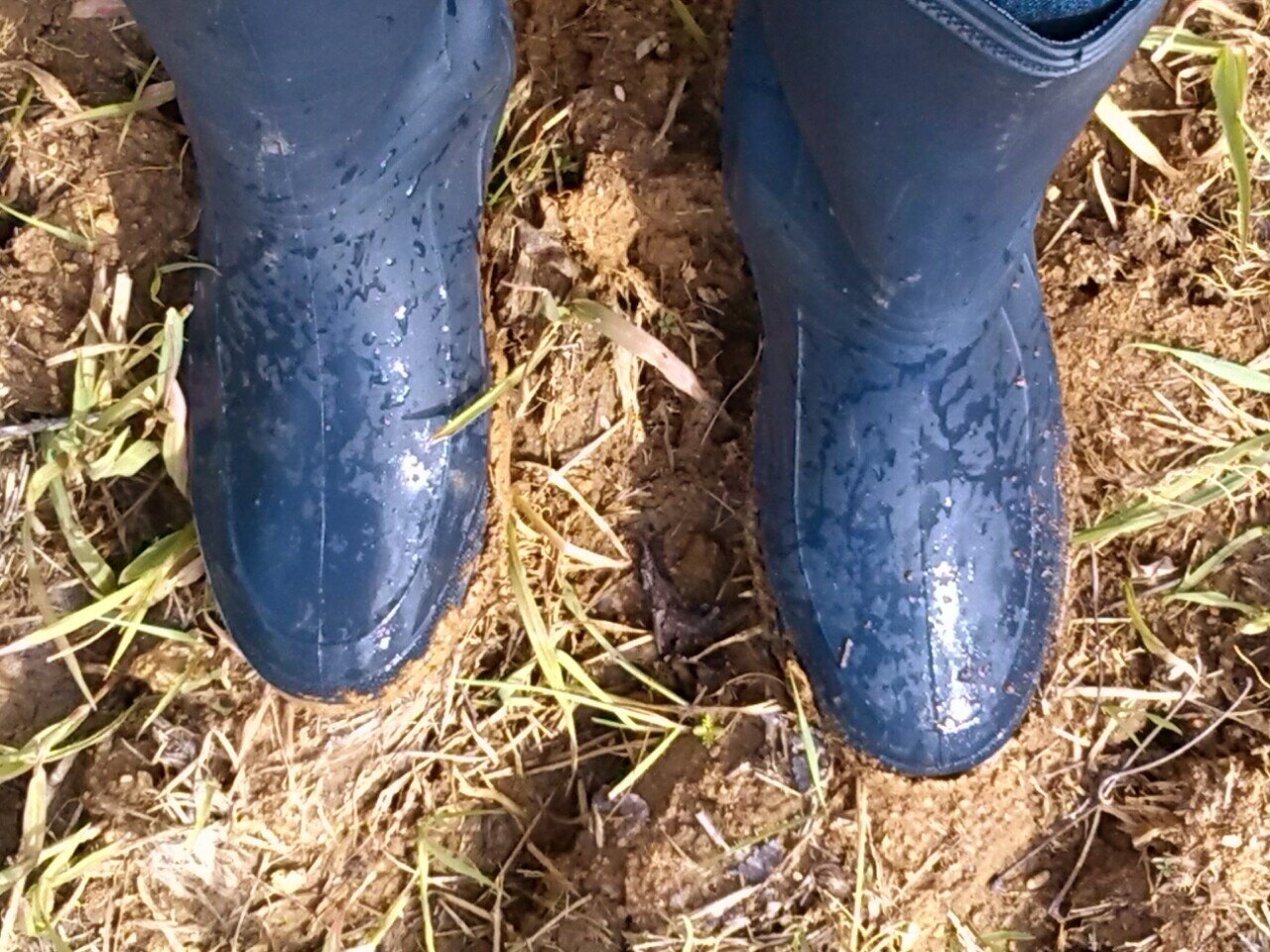 img_20130401_142934.jpeg img_20130401_142934.jpeg