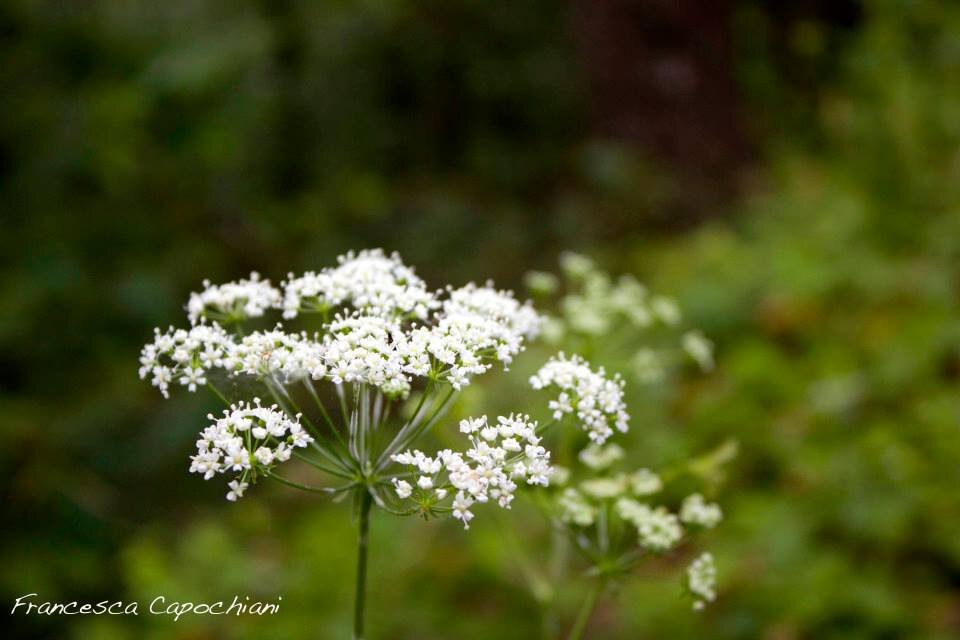 10410316_258889464301278_4747976293158801899_n_258889464301278.jpeg 10410316_258889464301278_4747976293158801899_n_258889464301278.jpeg