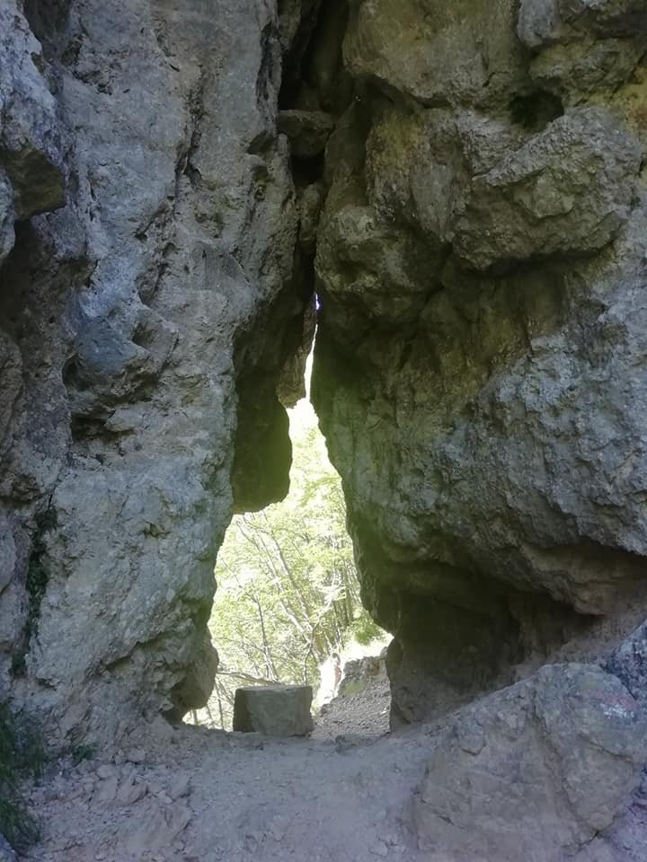 110117929_1455419144648298_868908406091001374_n_1455419141314965.jpeg 110117929_1455419144648298_868908406091001374_n_1455419141314965.jpeg