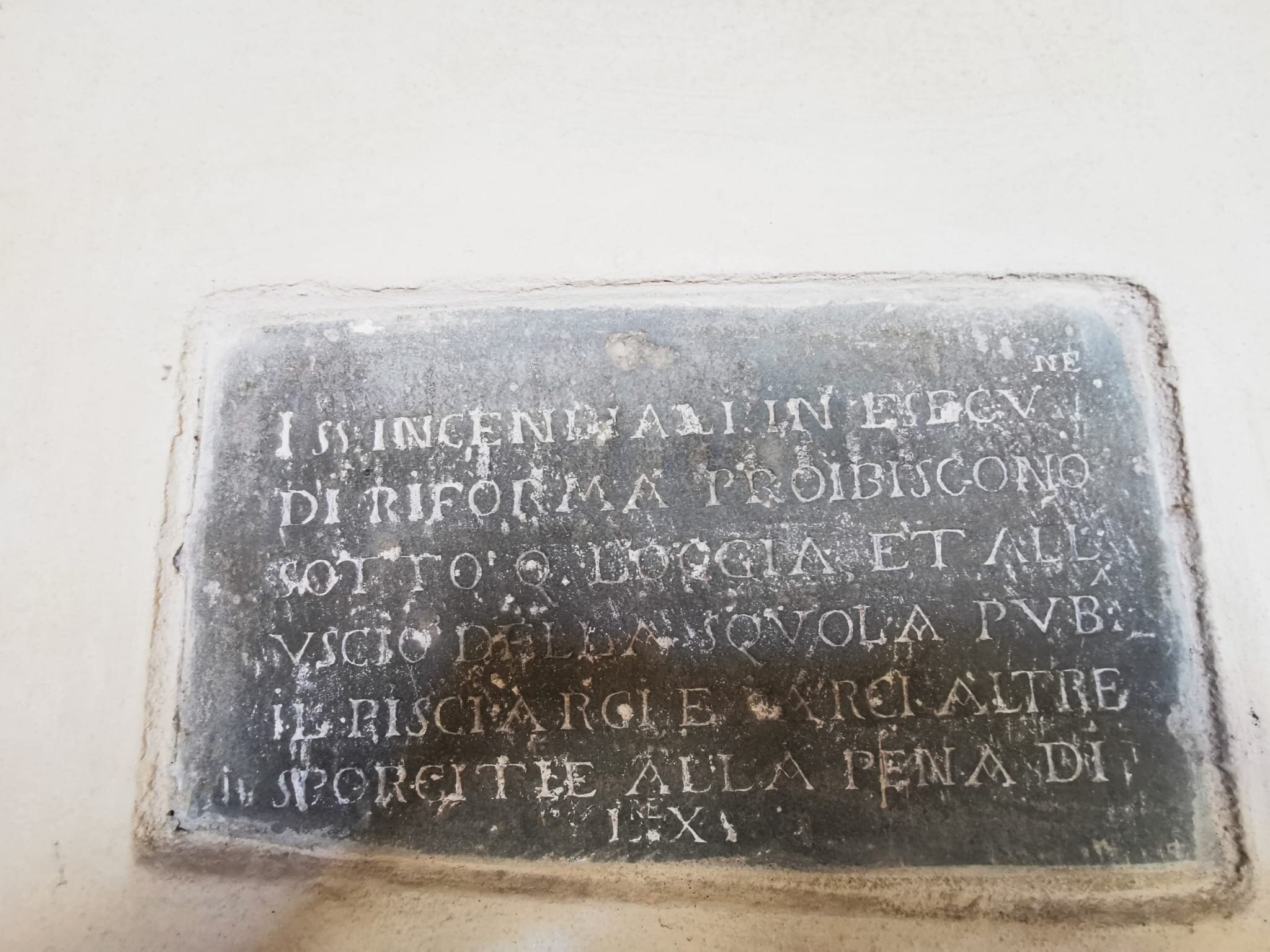 368317811_263740953094228_1737903011651284141_n_263740503094273.jpeg 368317811_263740953094228_1737903011651284141_n_263740503094273.jpeg