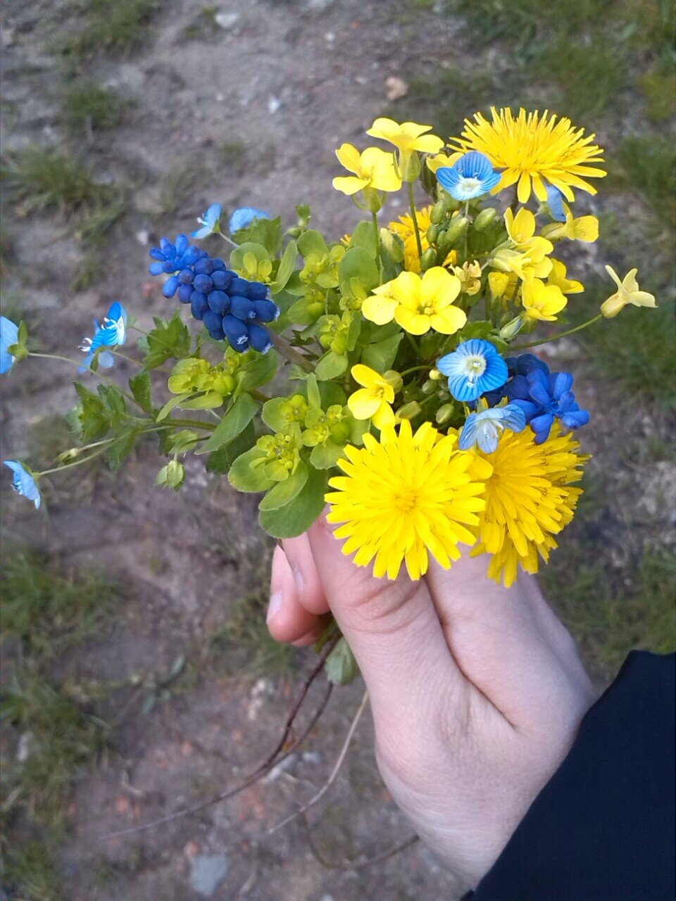 img_20130401_184735.jpeg img_20130401_184735.jpeg