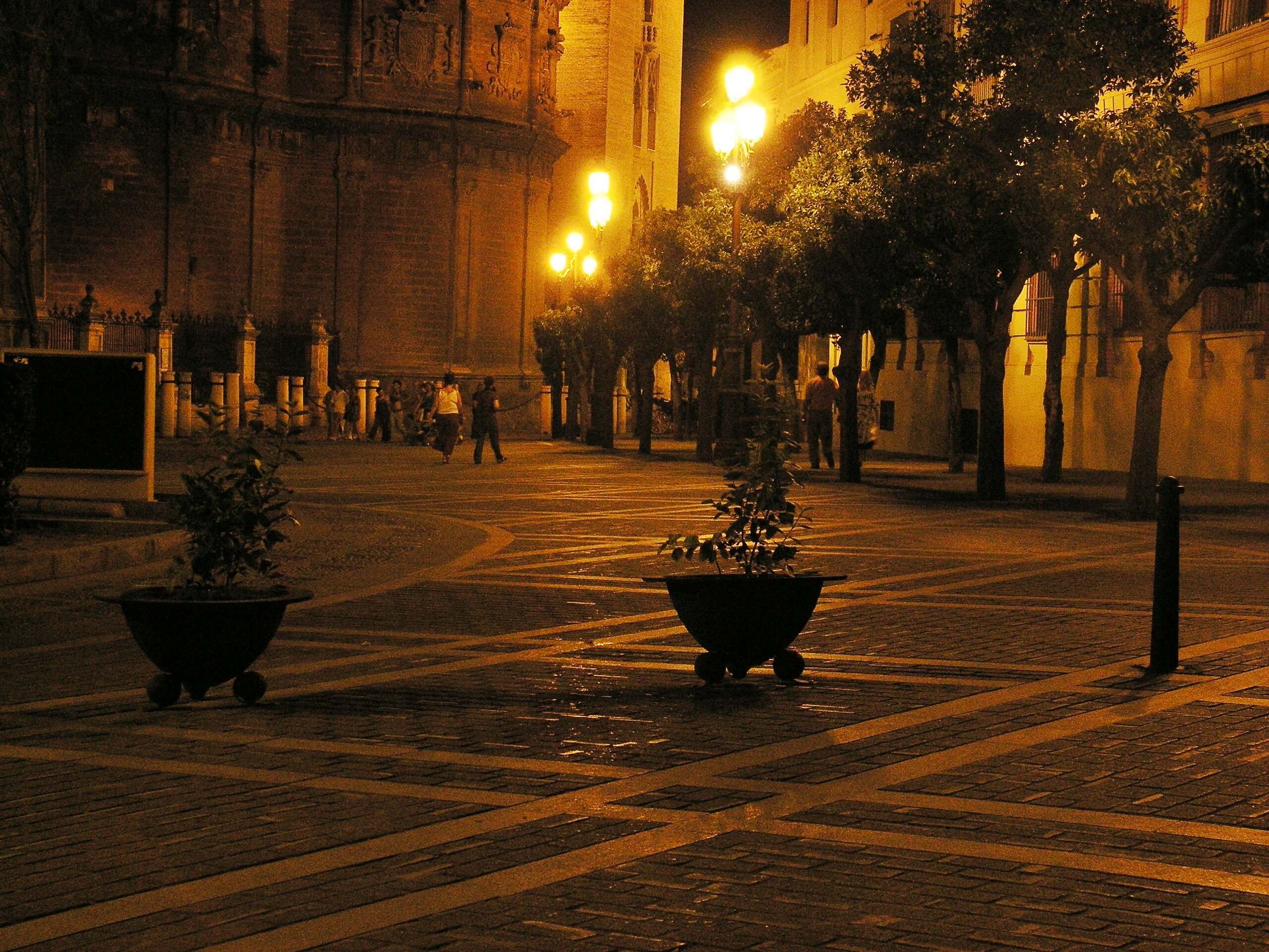 pict2035.jpeg pict2035.jpeg