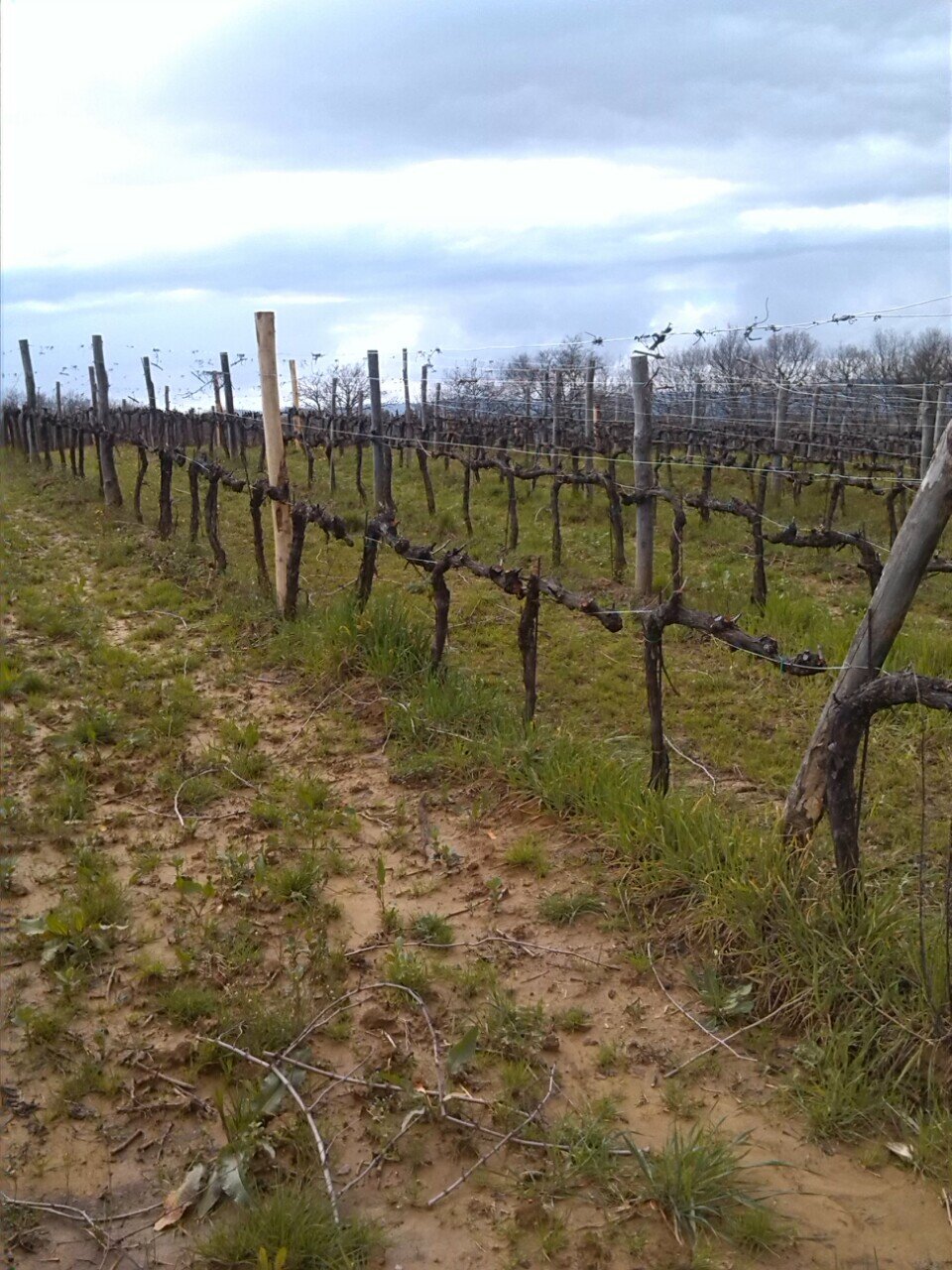 img_20130331_180753.jpeg img_20130331_180753.jpeg