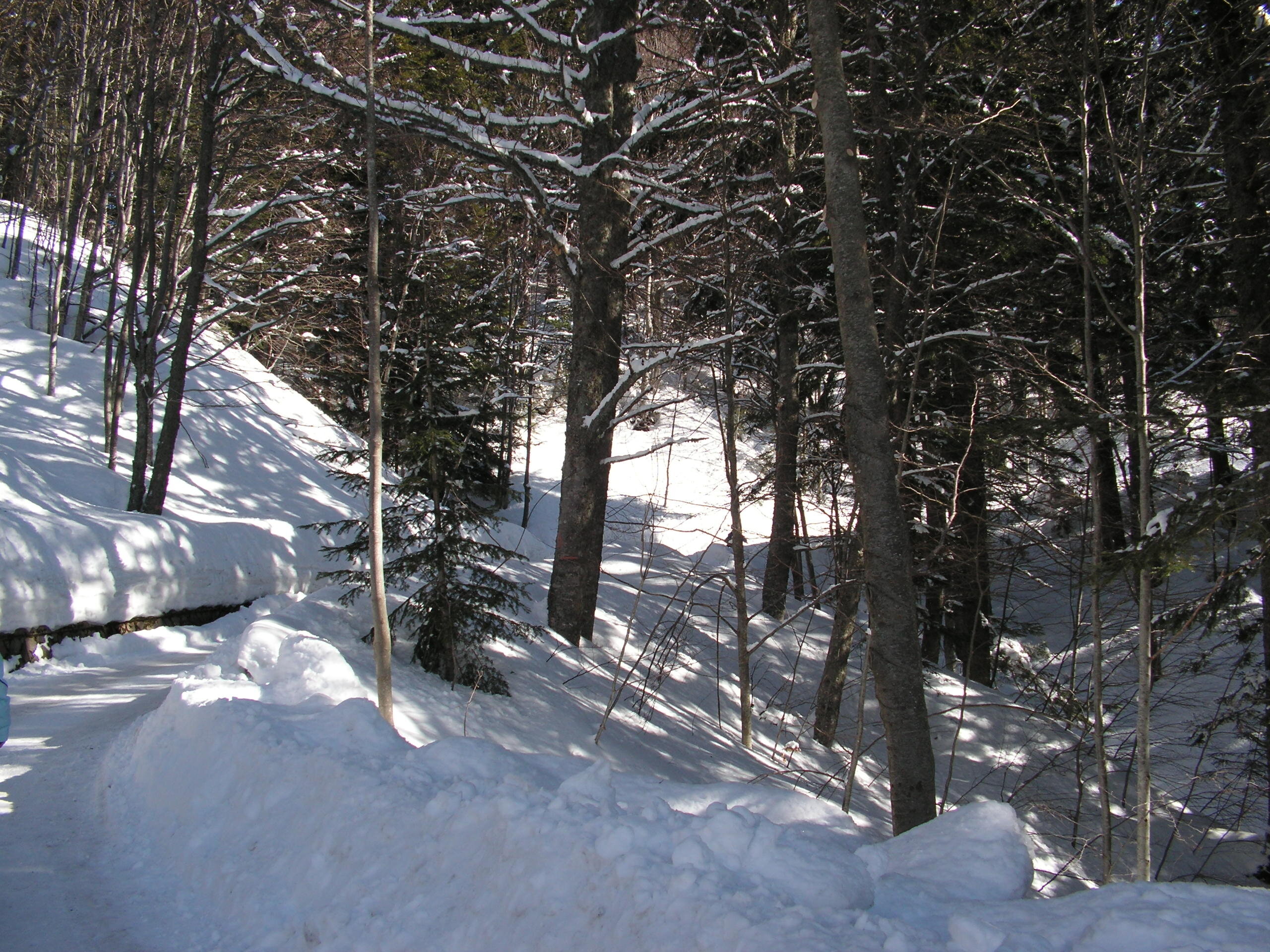 Neve, Silenzio e Meraviglia: Diario di un Viaggio di Qualche Giorno in Montagna
