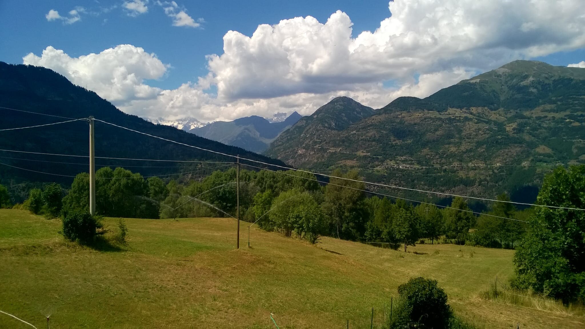 whatsapp-image-2025-05-02-at-22.17.05.jpeg whatsapp-image-2025-05-02-at-22.17.05.jpeg