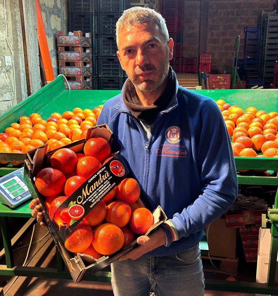 whatsapp image 2025-09-16 at 21.17.43.jpeg