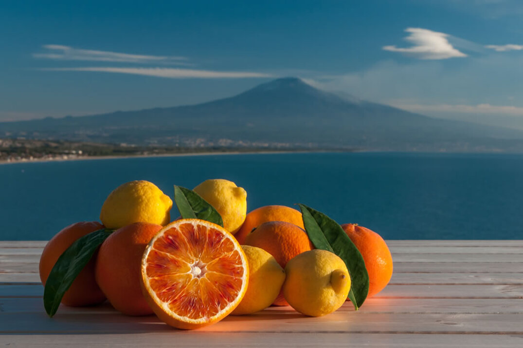 2e439a950ff1eac87508e752b29a51de9aa29b88