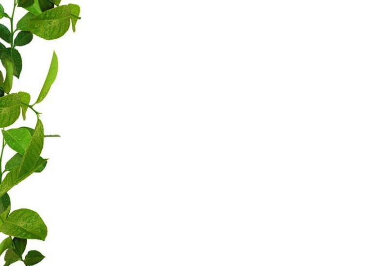 519b45886634563ccddeb8da05445c2aa452d844