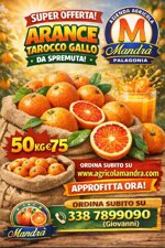 super-offerta-arance-tarocco-da-spremuta