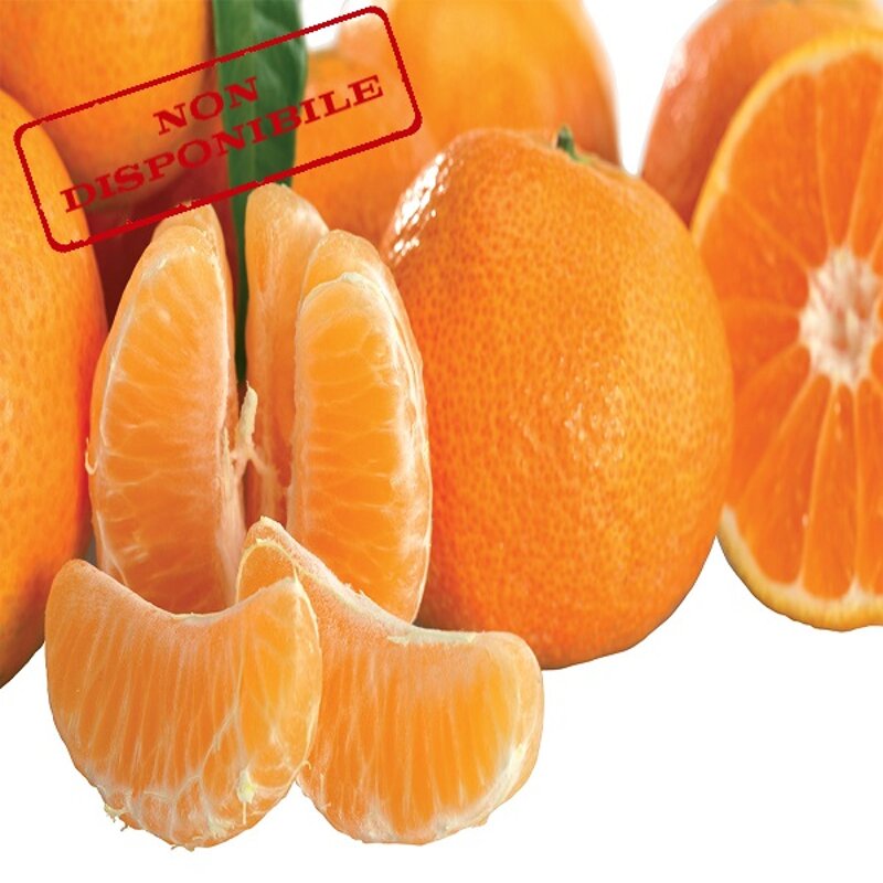 clementine-nova-da-tavola-al-kg