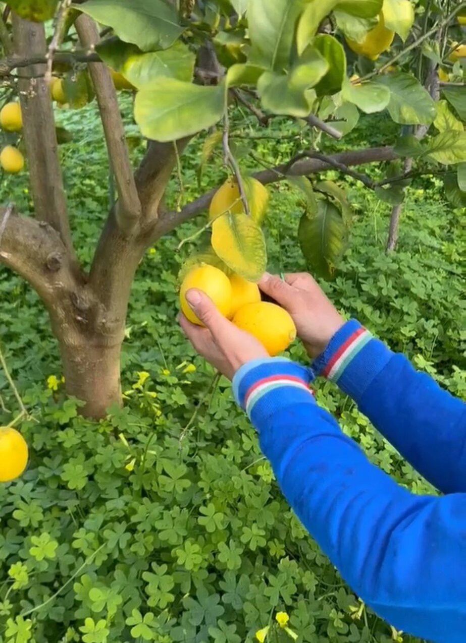 whatsapp image 2025-09-16 at 11.26.49.jpeg