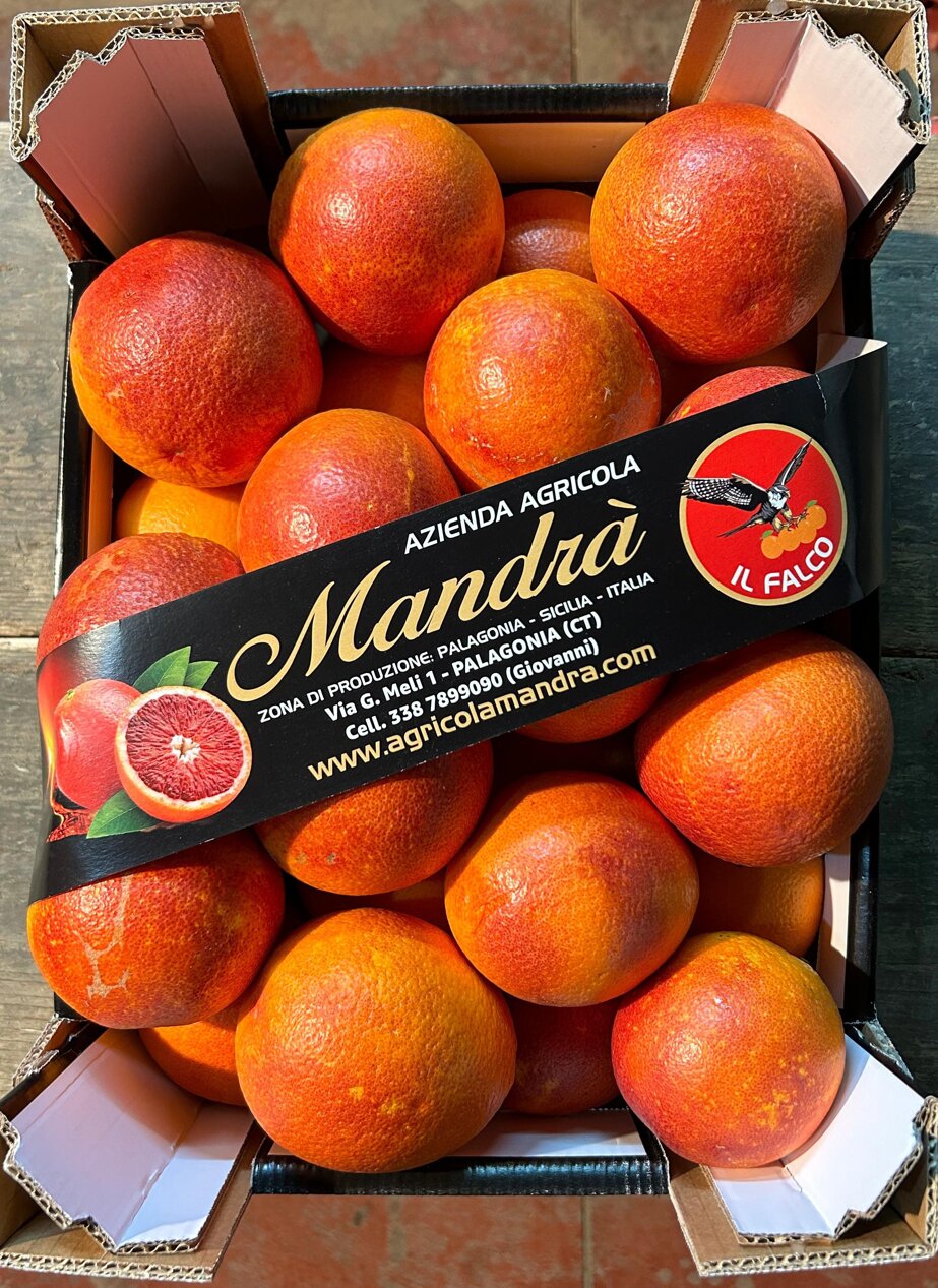 whatsapp image 2025-09-15 at 21.03.49 (2).jpeg