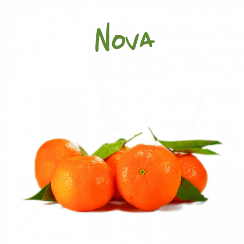 clementine-nova-da-tavola-al-kg clementine-nova-da-tavola-al-kg