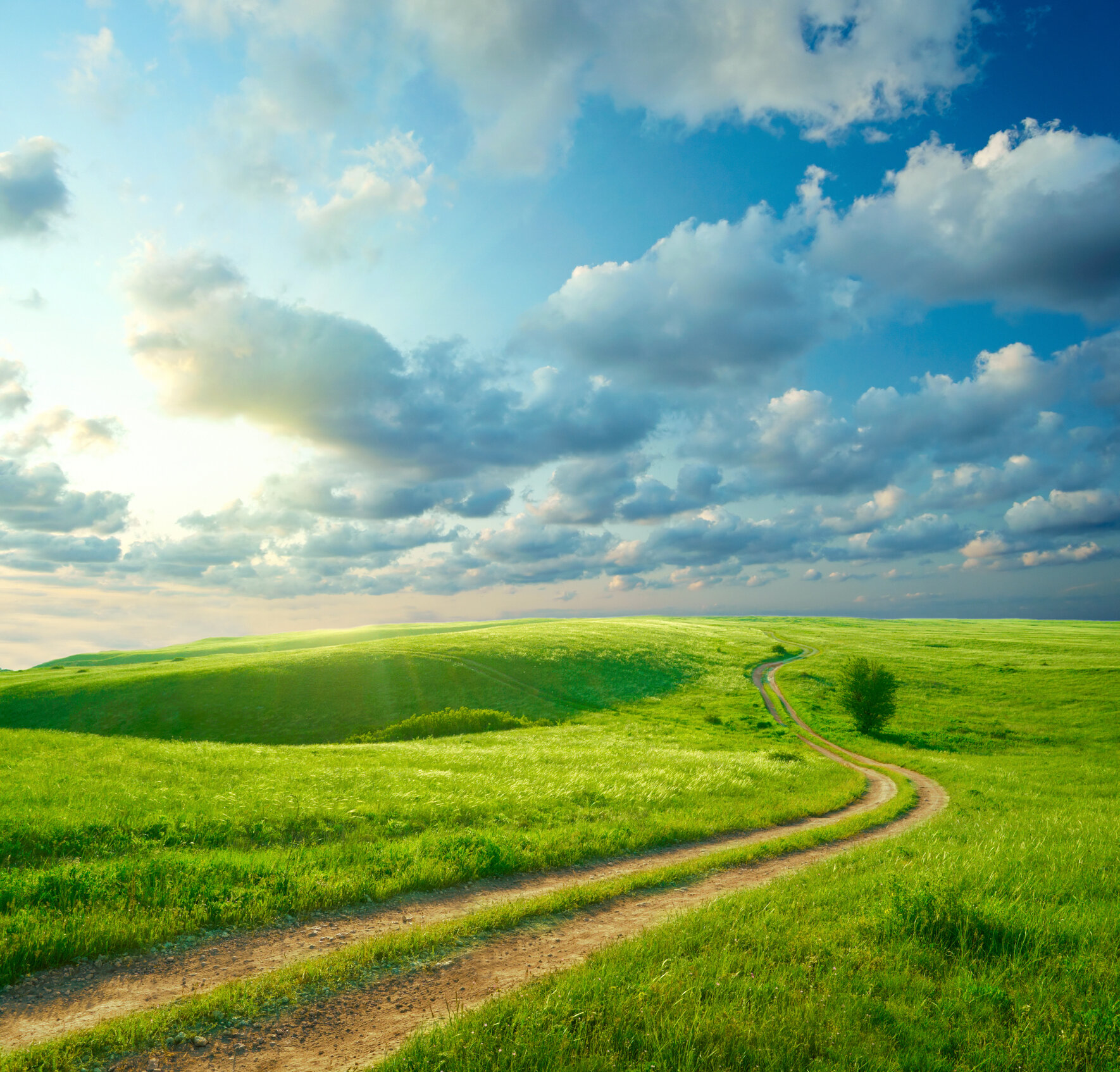 SERVITÙ PREDIALI: SULLA TIPICITÀ DEI MODI DI COSTITUZIONE SERVITÙ PREDIALI: SULLA TIPICITÀ DEI MODI DI COSTITUZIONE