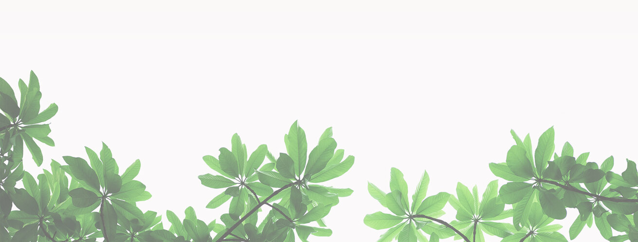 a1aba5b823c56a4d007a3506967d3180b22f06bd