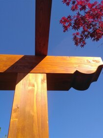 trami lamellari smensolati particolare della testa del trave della pergola in legno lamellare con smensolatura trami lamellari smensolati particolare della testa del trave della pergola in legno lamellare con smensolatura