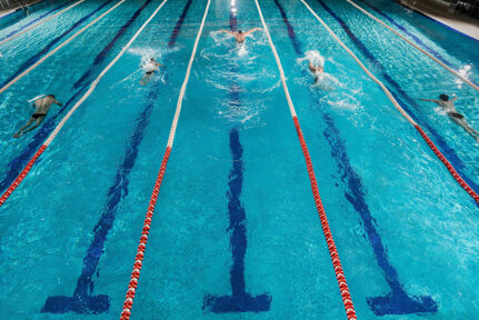 five-swimmers-racing-against-each-other-in-a-swiming-pool.jpeg