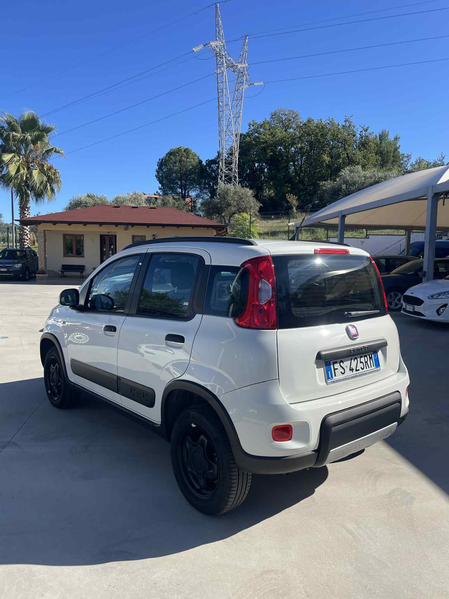 fiat-panda-4x4-3°serie-1.3mjt-95cv-euro6---bianco---2018-(10).jpeg