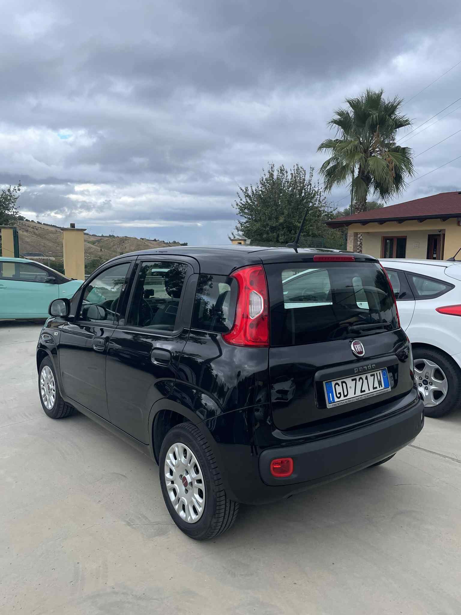 fiat-panda-3°serie-1.2benzina-easy-69cv-euro6---2021---nero-(4).jpeg