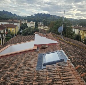 20251029_154239.jpeg 20251029_154239.jpeg