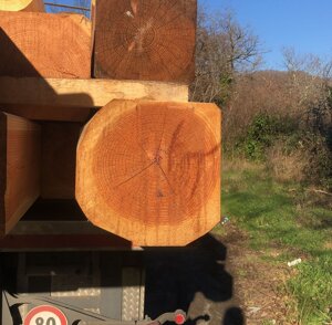 whatsapp%20image%202024-09-29%20at%2020.33.54.jpeg whatsapp%20image%202024-09-29%20at%2020.33.54.jpeg