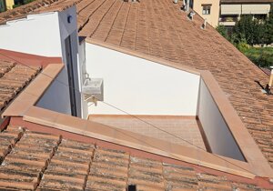 20251010_135547.jpeg 20251010_135547.jpeg