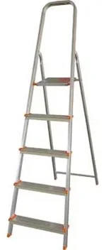 scala-professionale-150-kg-stella