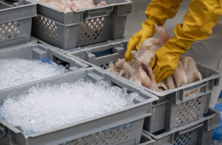 exclusive distributor for italy exclusive distributor for italy