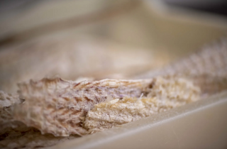 von%20iceland_porto%20pescherecci von%20iceland_porto%20pescherecci