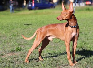 buran003.jpeg buran003.jpeg