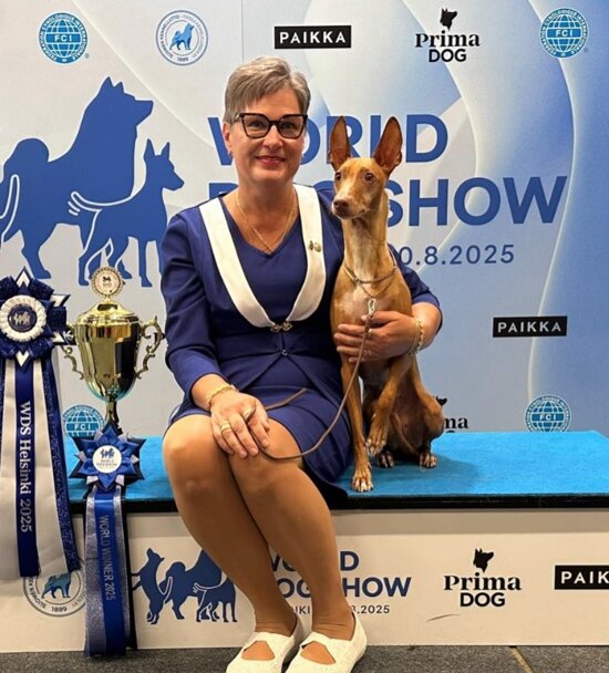 schermata 2025-08-18 alle 12.04.14.jpeg