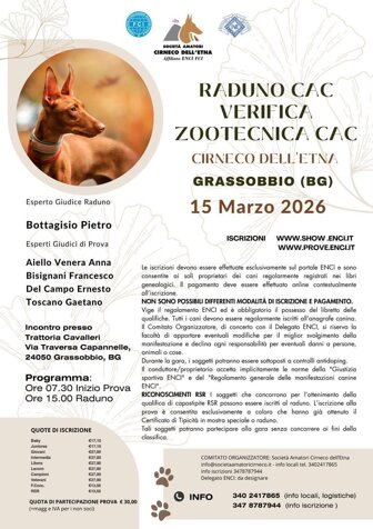 whatsapp image 2026-02-16 at 10.56.14.jpeg whatsapp image 2026-02-16 at 10.56.14.jpeg