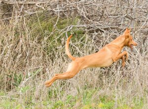 jerry_news.jpeg jerry_news.jpeg