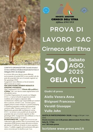 whatsapp image 2025-08-13 at 15.46.58.jpeg