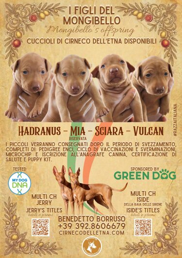 copia di i figli del mongibello.jpeg