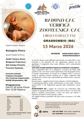 whatsapp image 2026-03-11 at 18.32.04.jpeg