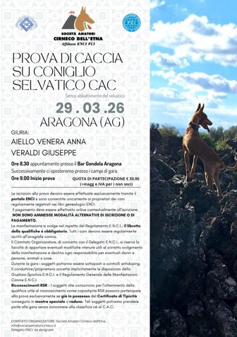 whatsapp image 2026-03-18 at 12.48.24.jpeg