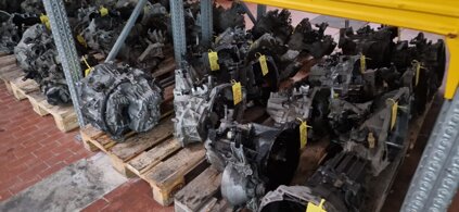 whatsapp image 2025-10-30 at 11.04.32.jpeg