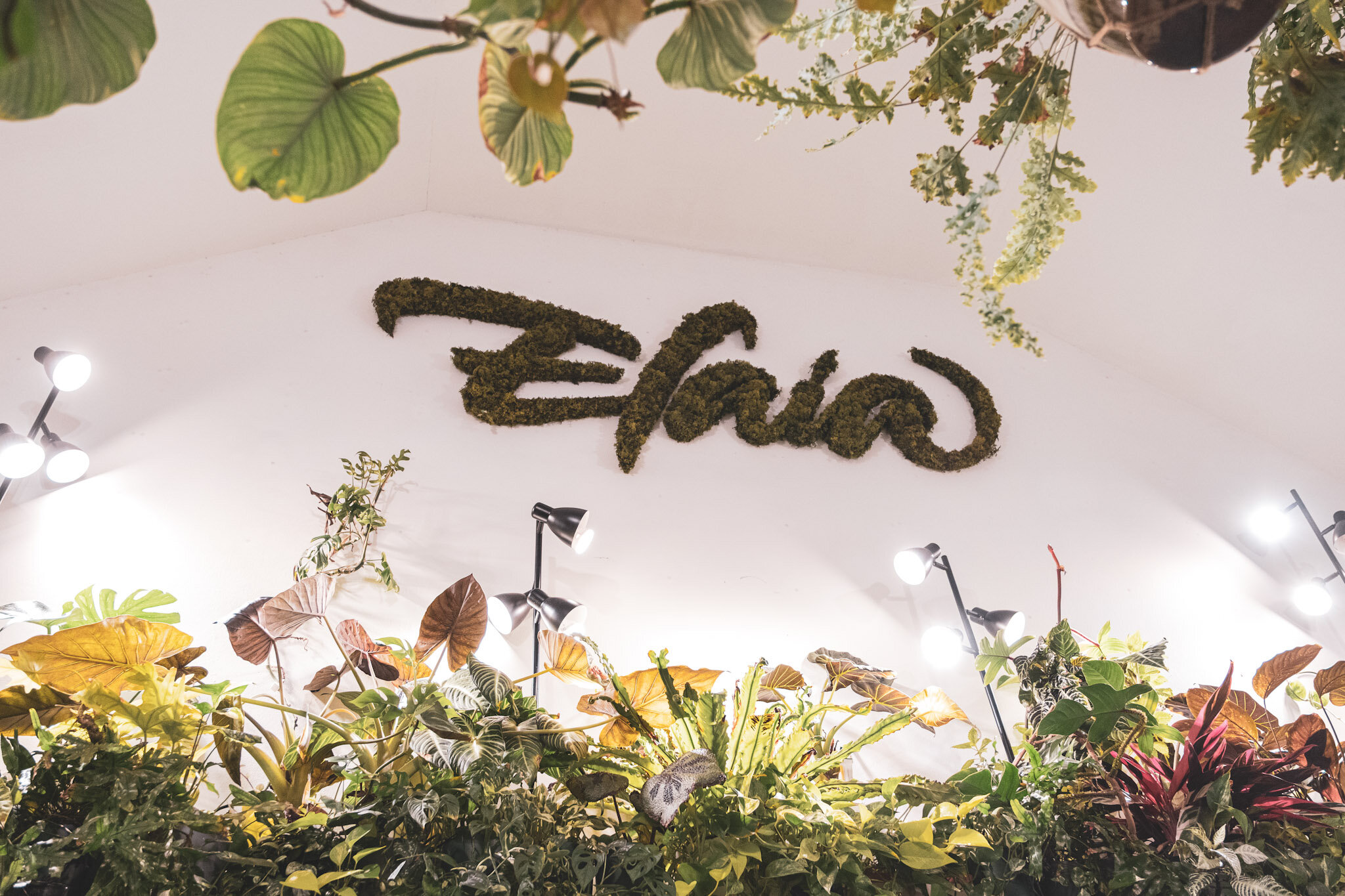 The Magical Journey Of Elaia The Magical Journey Of Elaia