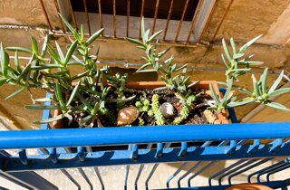 img_0112.jpeg