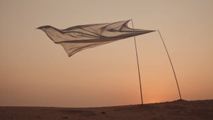 whispers of the desert installation. sharjah, uae video 59 sec.jpeg